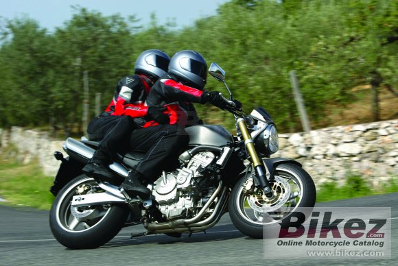 2006 honda cb 600 f hornet photo